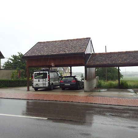 Bed and Breakfast Au Coeur Du Vignoble Sur Bursins Экстерьер фото